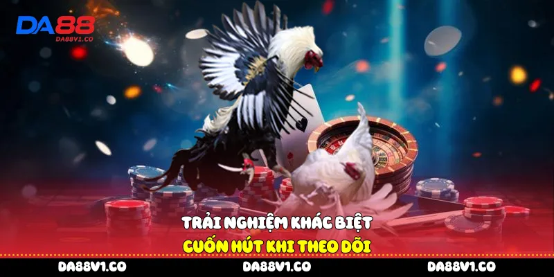 Trải nghiệm khác biệt cuốn hút khi theo dõi